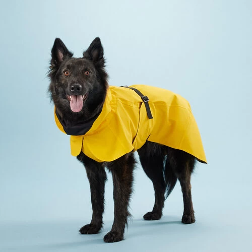PAIKKA Visibility Raincoat Lite Yellow 2 PAIKKA Visibility Raincoat Lite Yellow – Bild 2