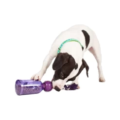 PetSafe Tug-a-Jug -Beeztees Store petsafe tug a jug 216335 0500 none