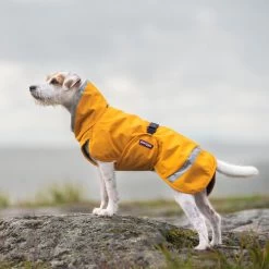 Pomppa Perus Hundejacke -Beeztees Store pomppa perus hondenjas 215735 0500 none