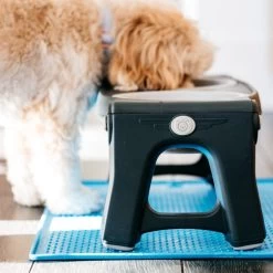 Popware Pet Bowl Grippmat 7 Popware Pet Bowl Grippmat -Beeztees Store popware pet bowl grippmat 164719 0500 none