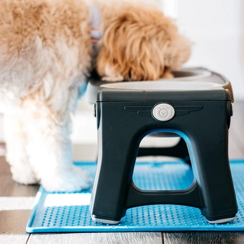 Popware Pet Bowl Grippmat 4 Popware Pet Bowl Grippmat – Bild 4