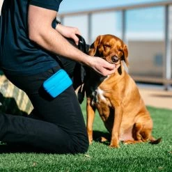 Popware Pooch Pouch Treatbag 7 Popware Pooch Pouch Treatbag -Beeztees Store popware pooch pouch treatbag 164698 0500 none