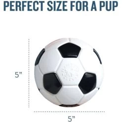 Planet Dog Orbee-Tuff Soccer Ball 8 Planet Dog Orbee-Tuff Soccer Ball -Beeztees Store prod 14590 203612 0500 none