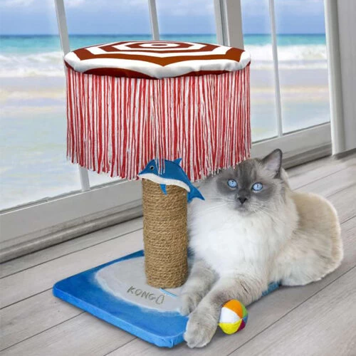KONG Play Spaces CATbana 2 KONG Play Spaces CATbana – Bild 2
