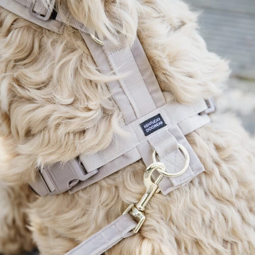 Kentucky Dog Harness Active Velvet 3 Kentucky Dog Harness Active Velvet – Bild 3