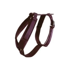 Kentucky Dog Harness Active Velvet 14 Kentucky Dog Harness Active Velvet -Beeztees Store prod 15744 218988 0500 none