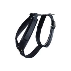 Kentucky Dog Harness Active Velvet 16 Kentucky Dog Harness Active Velvet -Beeztees Store prod 15744 218993 0500 none