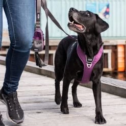 DOG Copenhagen Comfort Walk Pro Geschirr -Beeztees Store prod 15938 220297 0500 none