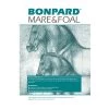 Bonpard Mare & Foal