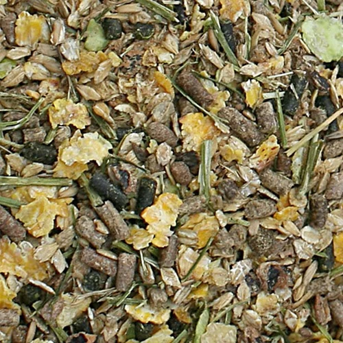 Bonpard Senior 2 Bonpard Senior – Bild 2