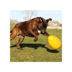 Jolly Egg -Beeztees Store product jolly egg none 4 1496839893 86965