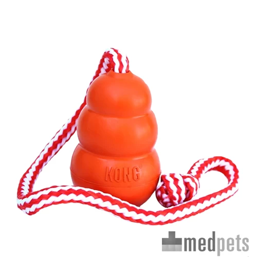 KONG Aqua Mit Wurftau 1 KONG Aqua Mit Wurftau