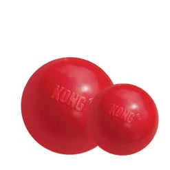 KONG Ball