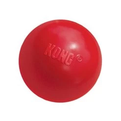 KONG Ball 8 KONG Ball -Beeztees Store product kong ball none 4 1466058812 69915