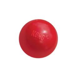 KONG Ball 9 KONG Ball -Beeztees Store product kong ball none 4 1466058813 69918