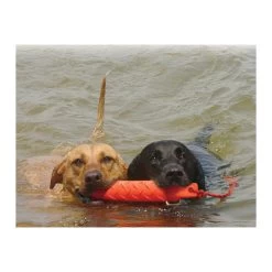 KONG Training Dummy 11 KONG Training Dummy -Beeztees Store product kong training dummy none 4 1469627104 71971