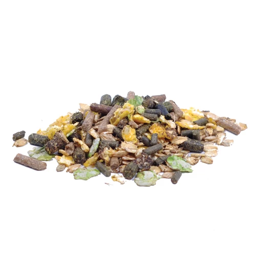 Pavo Cerevit 2 Pavo Cerevit – Bild 2