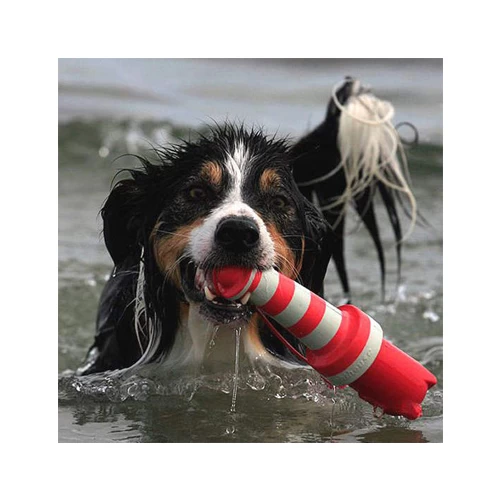 Rogz Leuchtturm 2 Rogz Leuchtturm – Bild 2