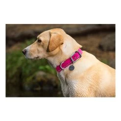 Ruffwear Headwater Collar -Beeztees Store product ruffwear headwater collar none 4 1487775433 83755