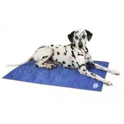 Scruffs Cooling Mat -Beeztees Store product scruffs cooling mat none 4 1472200004 76951