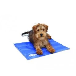 Scruffs Cooling Mat -Beeztees Store product scruffs cooling mat none 4 1472200006 76957