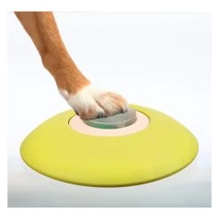 Trixie Dog Activity Memory Trainer -Beeztees Store product trixie memory trainer strategy game none 4 1478600542 79912