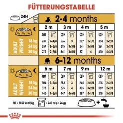 Royal Canin Bulldog Puppy - Hundefutter -Beeztees Store royal canin bulldog puppy hondenvoer 137776 0500 none