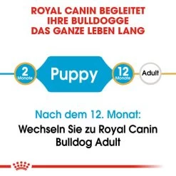Royal Canin Bulldog Puppy - Hundefutter -Beeztees Store royal canin bulldog puppy hondenvoer 137785 0500 none