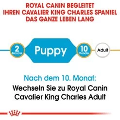 Royal Canin Cavalier King Charles Puppy - Hundefutter -Beeztees Store royal canin cavalier king charles puppy hondenvoer 137905 0500 none