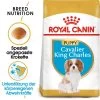 Royal Canin Cavalier King Charles Puppy - Hundefutter