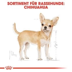 Royal Canin Chihuahua Adult - Hundefutter -Beeztees Store royal canin chihuahua adult hondenvoer 137968 0500 none