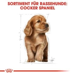 Royal Canin Cocker Puppy - Hundefutter -Beeztees Store royal canin cocker puppy hondenvoer 138226 0500 none