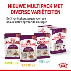 Royal Canin FHN Sensory Multipack In Sauce