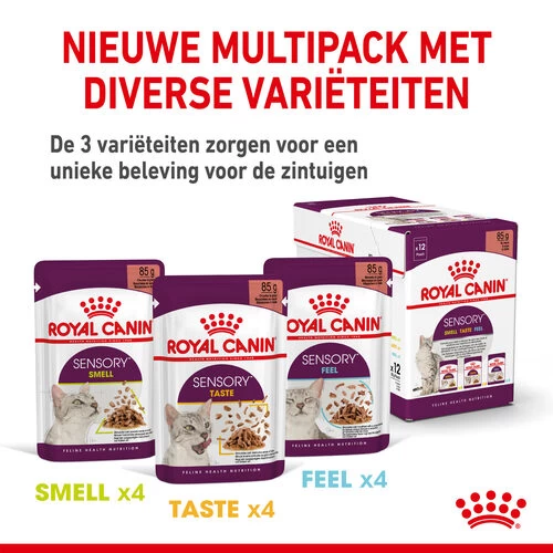 Royal Canin FHN Sensory Multipack In Sauce