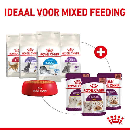 Royal Canin FHN Sensory Multipack In Sauce – Bild 2