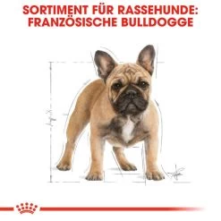 Royal Canin French Bulldog Adult - Hundefutter -Beeztees Store royal canin french bulldog adult hondenvoer 138622 0500 none