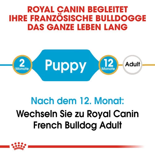 Royal Canin French Bulldog Puppy - Hundefutter 5 Royal Canin French Bulldog Puppy - Hundefutter – Bild 5