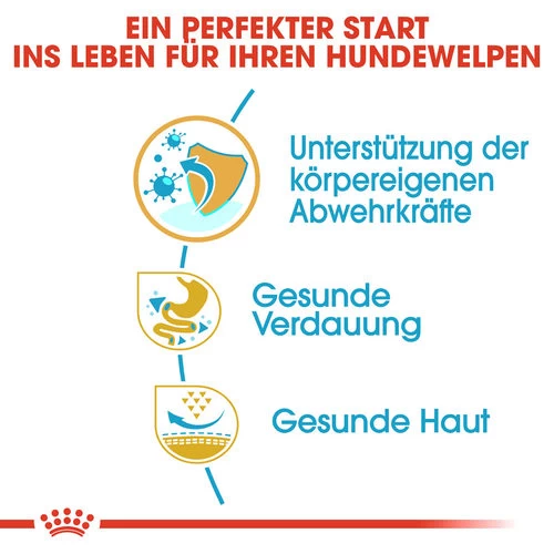 Royal Canin French Bulldog Puppy - Hundefutter 2 Royal Canin French Bulldog Puppy - Hundefutter – Bild 2