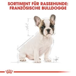 Royal Canin French Bulldog Puppy - Hundefutter 11 Royal Canin French Bulldog Puppy - Hundefutter -Beeztees Store royal canin french bulldog puppy hondenvoer 138718 0500 none