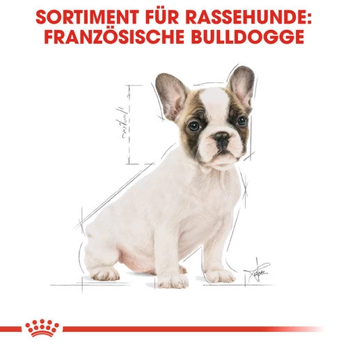 Royal Canin French Bulldog Puppy - Hundefutter 4 Royal Canin French Bulldog Puppy - Hundefutter – Bild 4