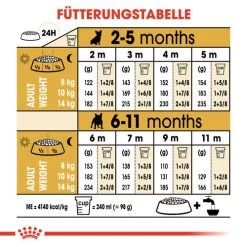 Royal Canin French Bulldog Puppy - Hundefutter 14 Royal Canin French Bulldog Puppy - Hundefutter -Beeztees Store royal canin french bulldog puppy hondenvoer 138727 0500 none