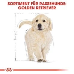 Royal Canin Golden Retriever Puppy - Hundefutter -Beeztees Store royal canin golden retriever puppy hondenvoer 138958 0500 none