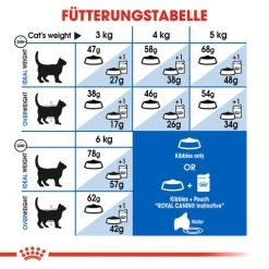 Royal Canin Indoor Appetite Control - Katzenfutter -Beeztees Store royal canin indoor appetite control kattenvoer 127238 0500 none