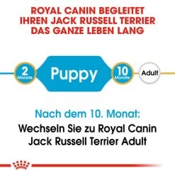 Royal Canin Jack Russell Terrier Puppy - Hundefutter 12 Royal Canin Jack Russell Terrier Puppy - Hundefutter -Beeztees Store royal canin jack russell terrier puppy hondenvoer 139291 0500 none