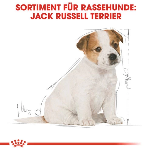 Royal Canin Jack Russell Terrier Puppy - Hundefutter 4 Royal Canin Jack Russell Terrier Puppy - Hundefutter – Bild 4