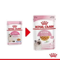 Royal Canin Kitten In Jelly - Katzenfutter -Beeztees Store royal canin kitten in jelly kattenvoer 207116 0500 none