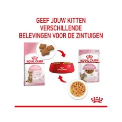 Royal Canin Kitten Sterilised Gelee - Beutel -Beeztees Store royal canin kitten sterilised in jelly maaltijdzakje 207212 0500 none