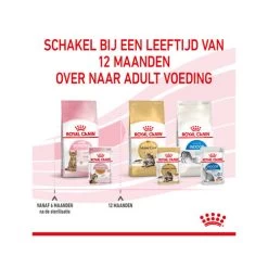 Royal Canin Kitten Sterilised Gelee - Beutel -Beeztees Store royal canin kitten sterilised in jelly maaltijdzakje 207221 0500 none