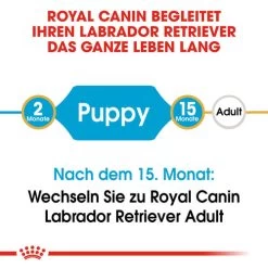 Royal Canin Labrador Retriever Puppy - Hundefutter -Beeztees Store royal canin labrador retriever puppy hondenvoer 139411 0500 none