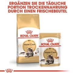 Royal Canin Maine Coon Adult Wet - Katzenfutter -Beeztees Store royal canin maine coon adult wet kattenvoer 126035 0500 none